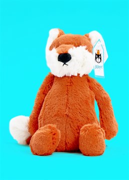 Cheeky little Bashful Fox is a jiffly ginger cub with fluffy white ears, feet and tail-tip. He loves to play giggly games, but this wily fox is far from tricking you; fun times and treats are for everyone he meets!